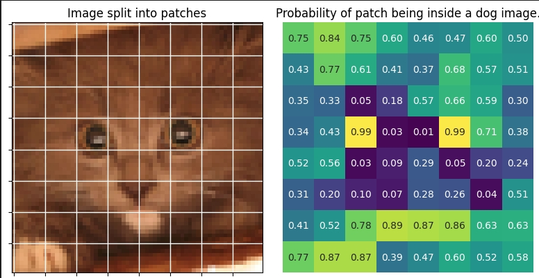 Dogness probability in cat patches