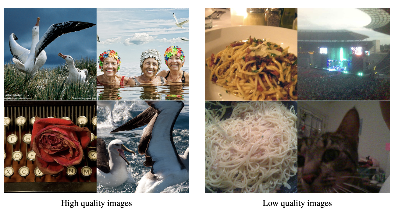 ImageNet quality variation